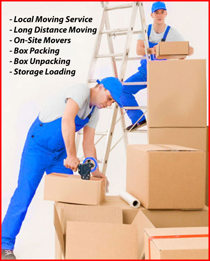 Packers And Movers Noida Sector 72